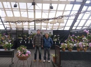 ブルーメッセで開催された蘭フェア