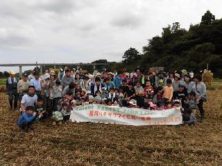 みんなで稲刈り